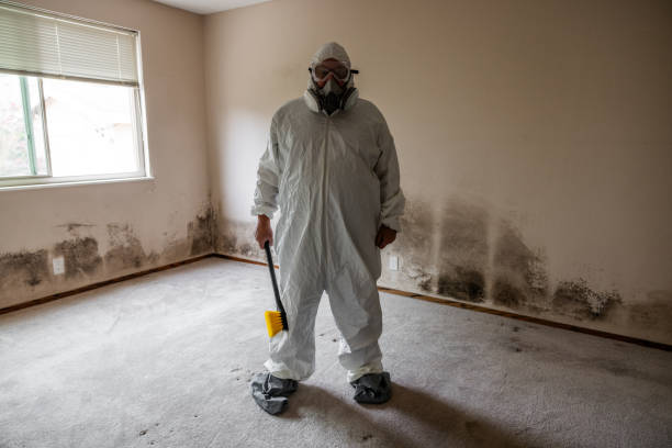 Best Residential Mold Remediation in Monticello, AR